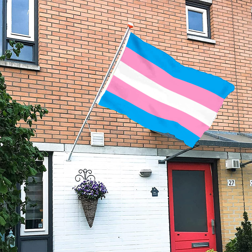 Bandiera Arcobaleno Transgender Flag Banner