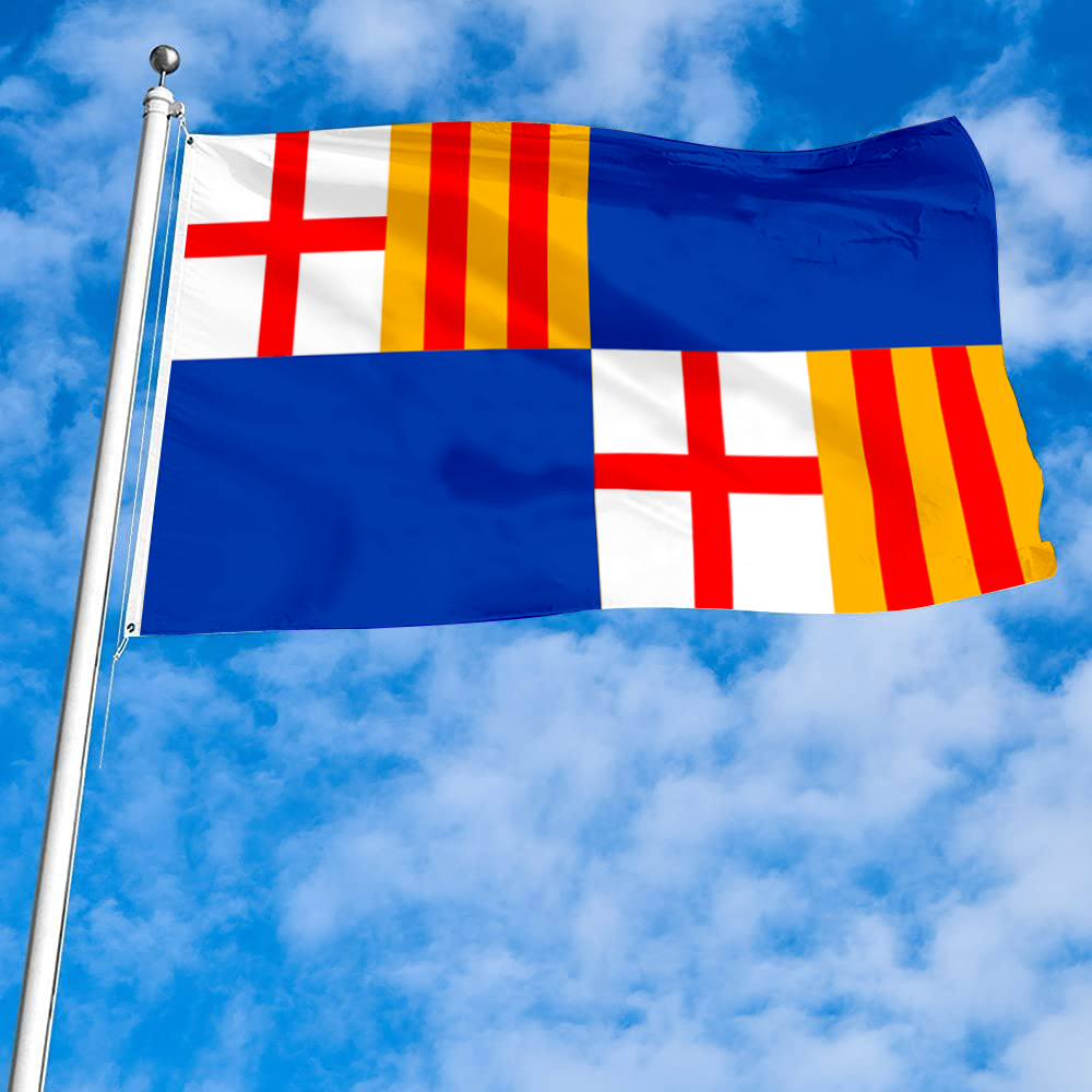 Fyon Barceloneta, Puerto Rico flag banner