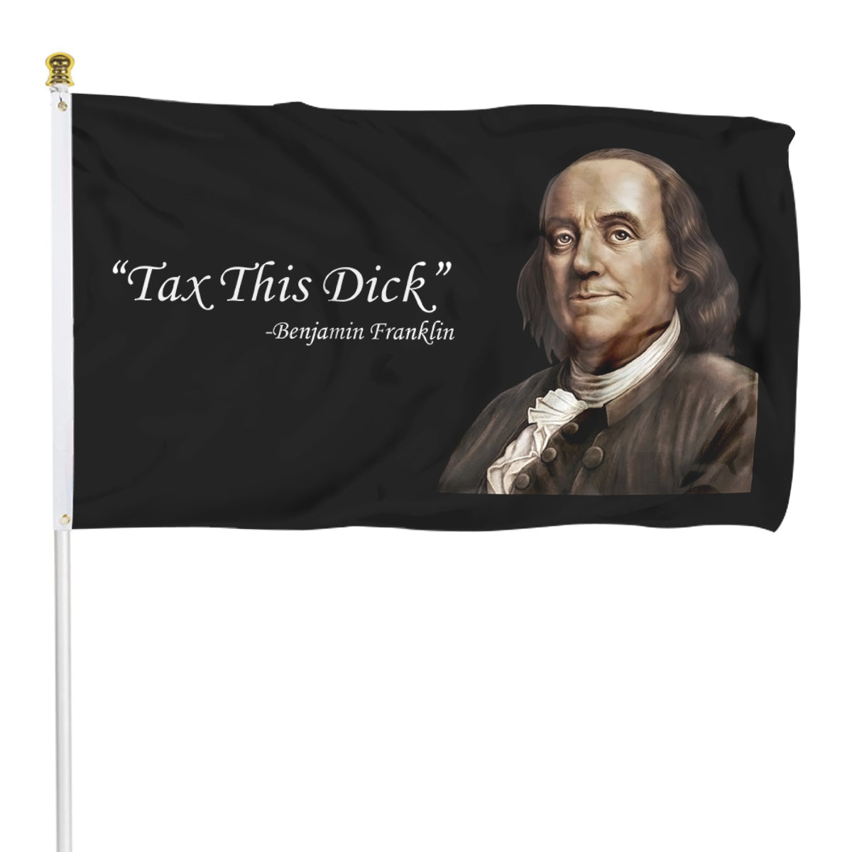 Fyon Benjamin Franklin Tax This Dick Flag Indoor and outdoor banner