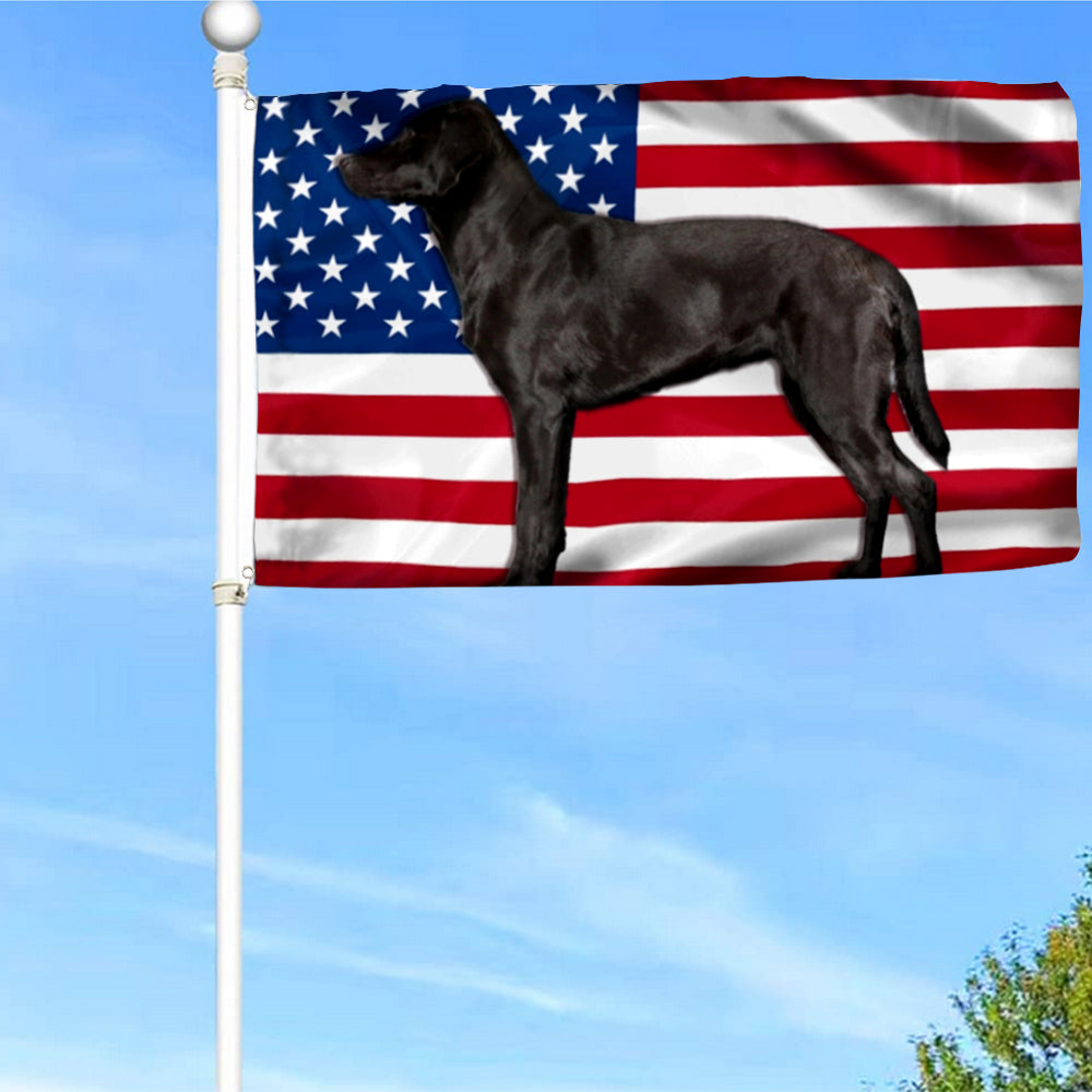 Fyon Black Labrador Retriever Dog Flag 41405 Indoor and outdoor banner
