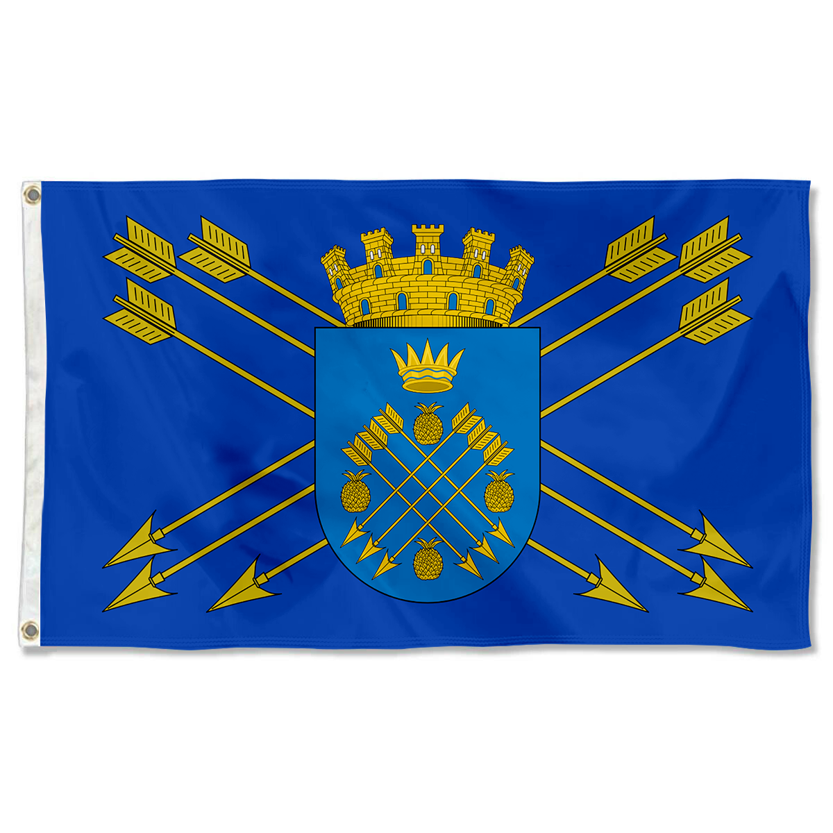 Fyon Caguas, Puerto Rico flag banner