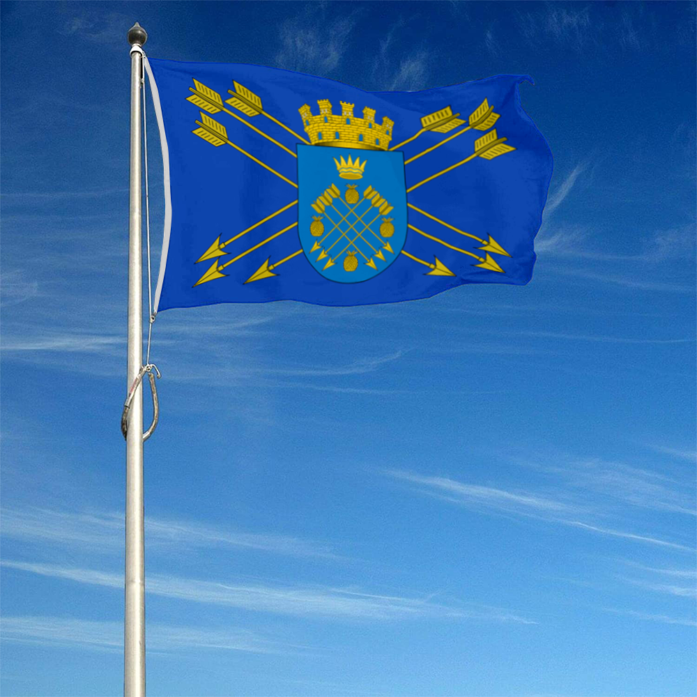 Fyon Caguas, Puerto Rico flag banner