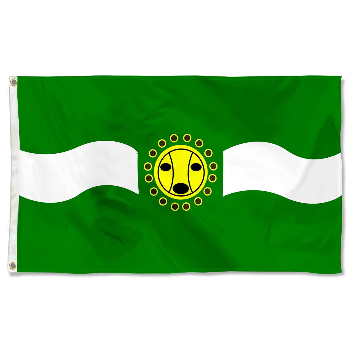 Fyon Camuy, Puerto Rico flag banner