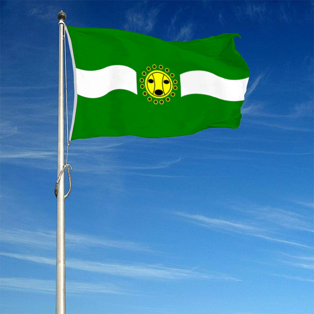Fyon Camuy, Puerto Rico flag banner