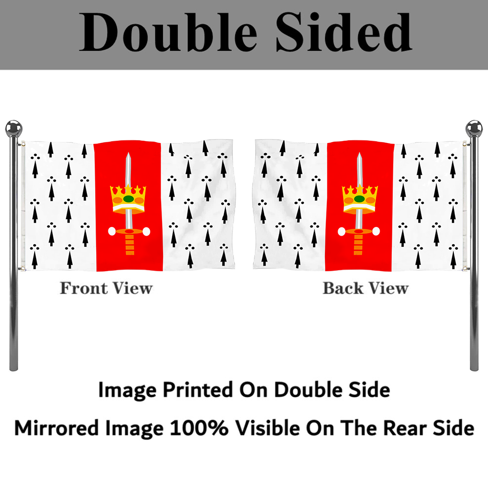 Fyon Carolina, Puerto Rico flag banner