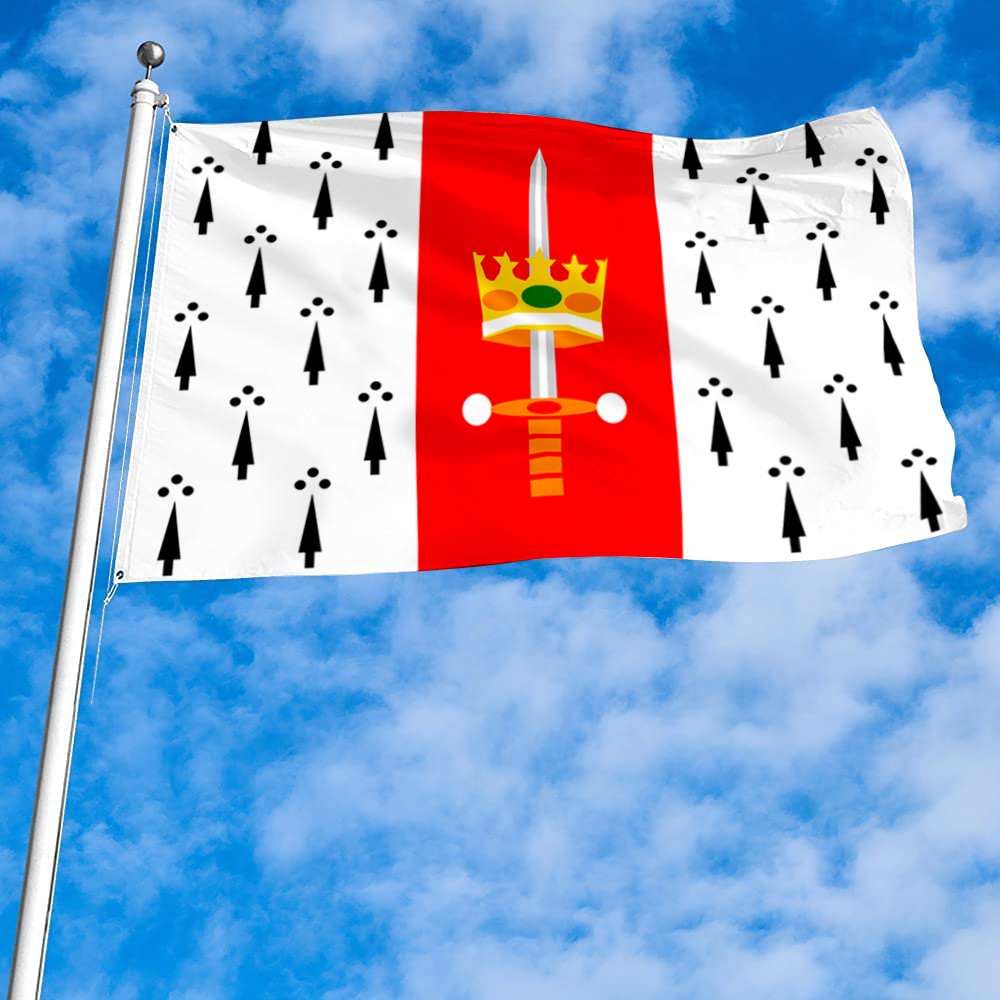 Fyon Carolina, Puerto Rico flag banner