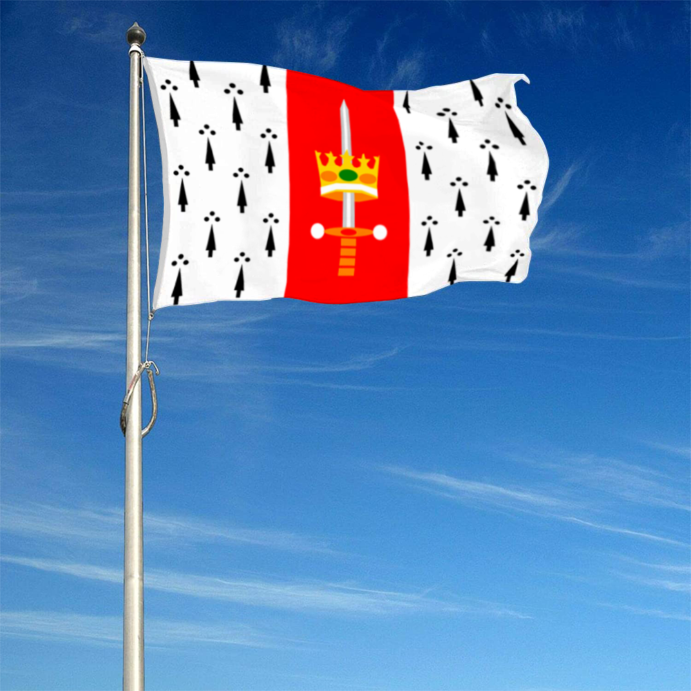 Fyon Carolina, Puerto Rico flag banner