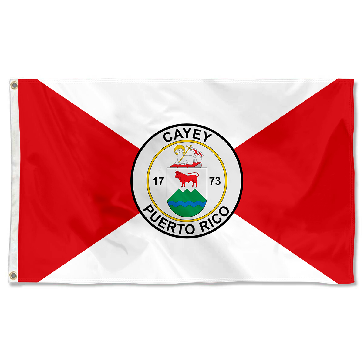 Fyon Cayey, Puerto Rico flag banner