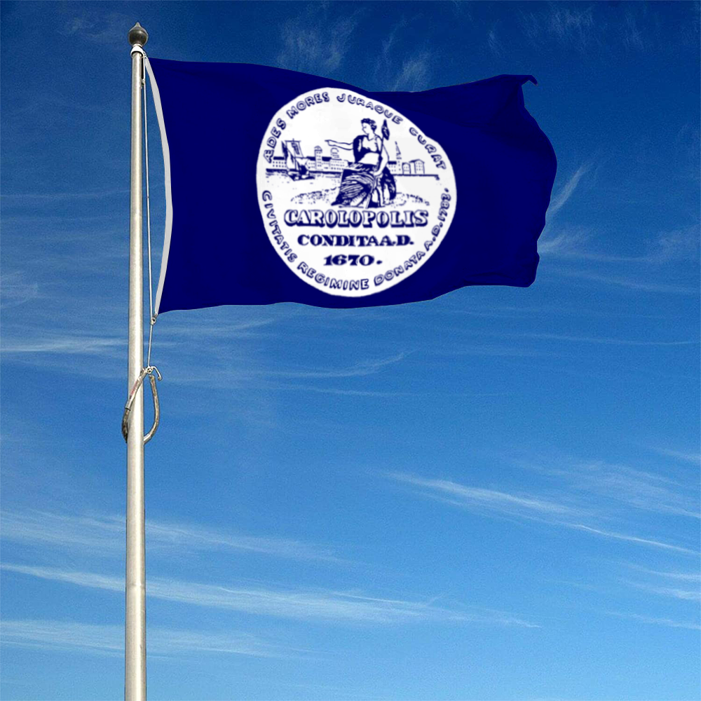 Fyon Charleston, South Carolina flag (1882–1952) Banner