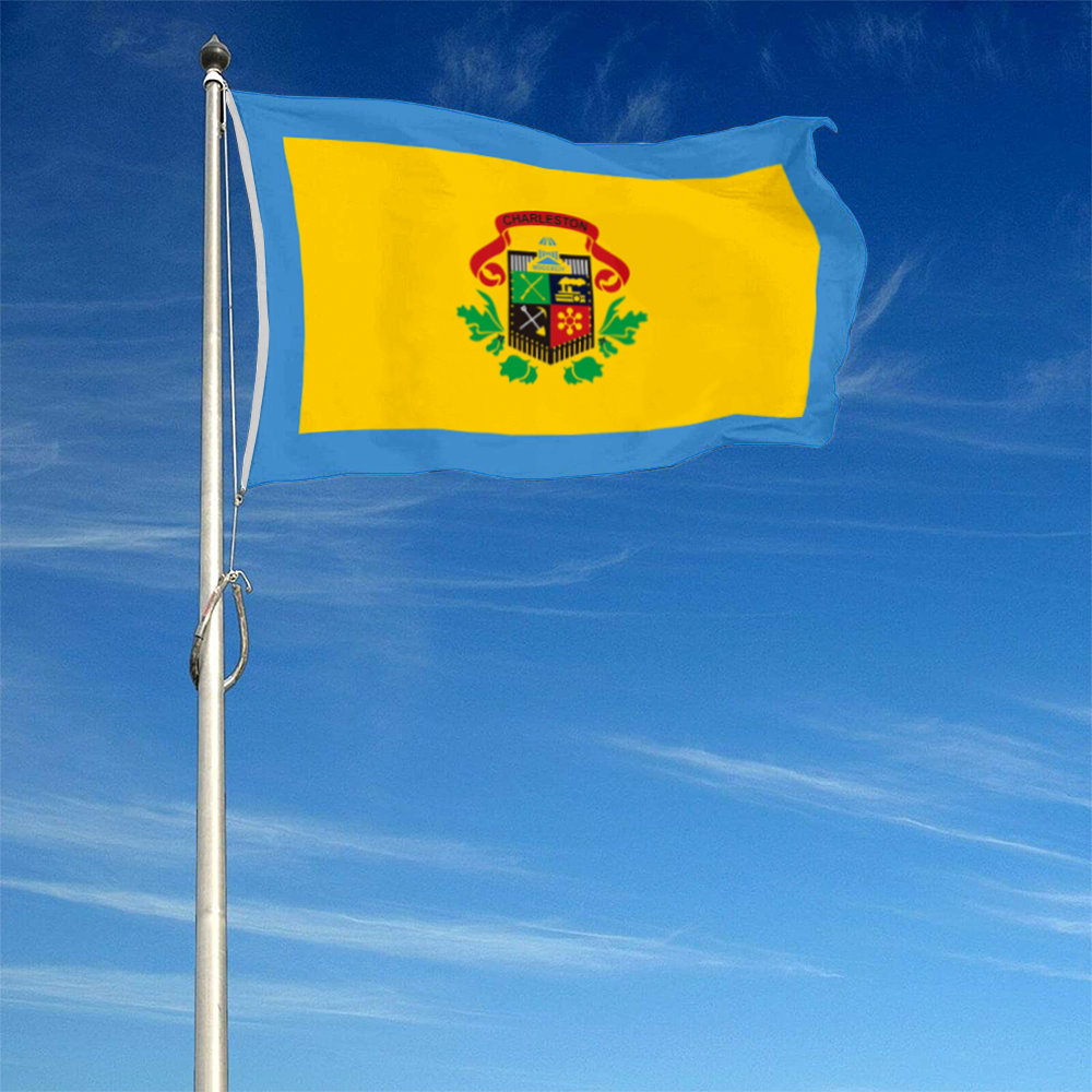 Fyon Charleston, West Virginia flag Banner