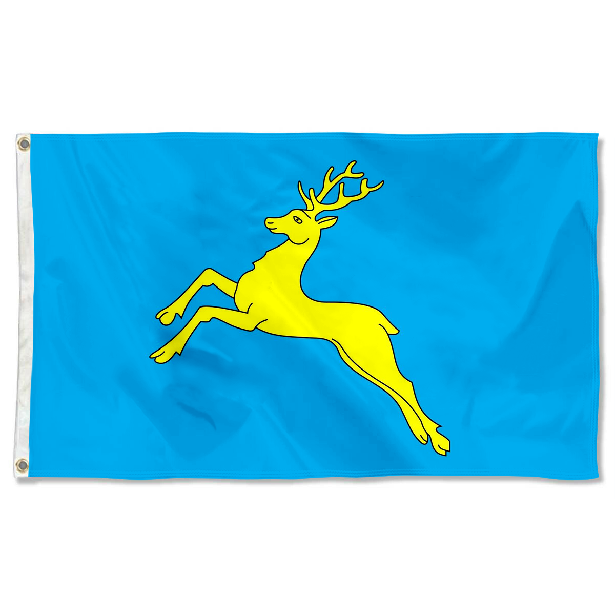 Fyon City of Sambir, Lviv Oblast, Ukraine flag Indoor and outdoor banner