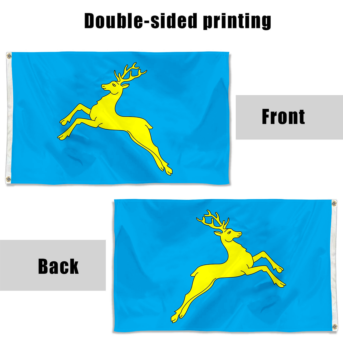 Fyon City of Sambir, Lviv Oblast, Ukraine flag Indoor and outdoor banner