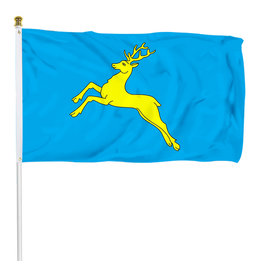 Fyon City of Sambir, Lviv Oblast, Ukraine flag Indoor and outdoor banner