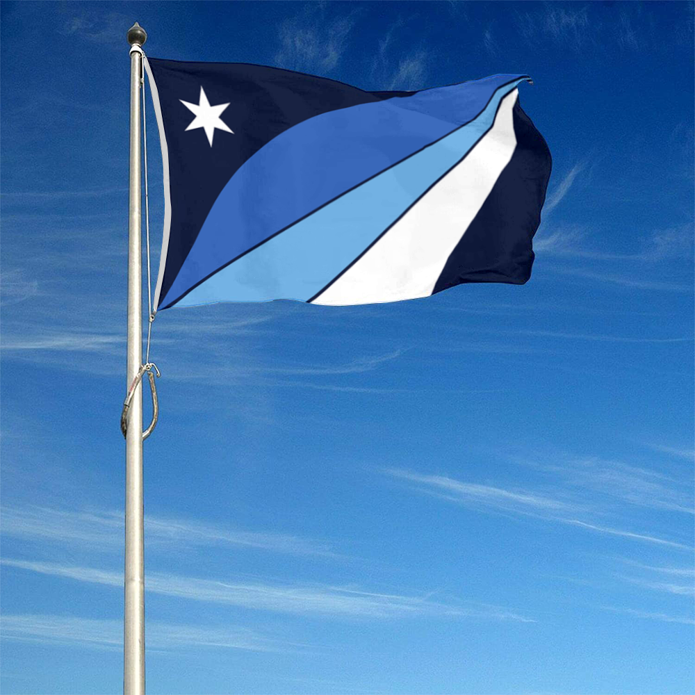 Fyon Columbia, South Carolina flag banner