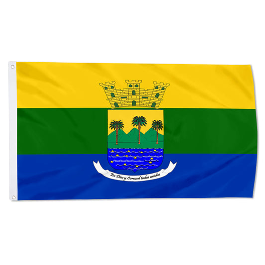 Fyon Corozal, Puerto Rico Flag Banner 23262