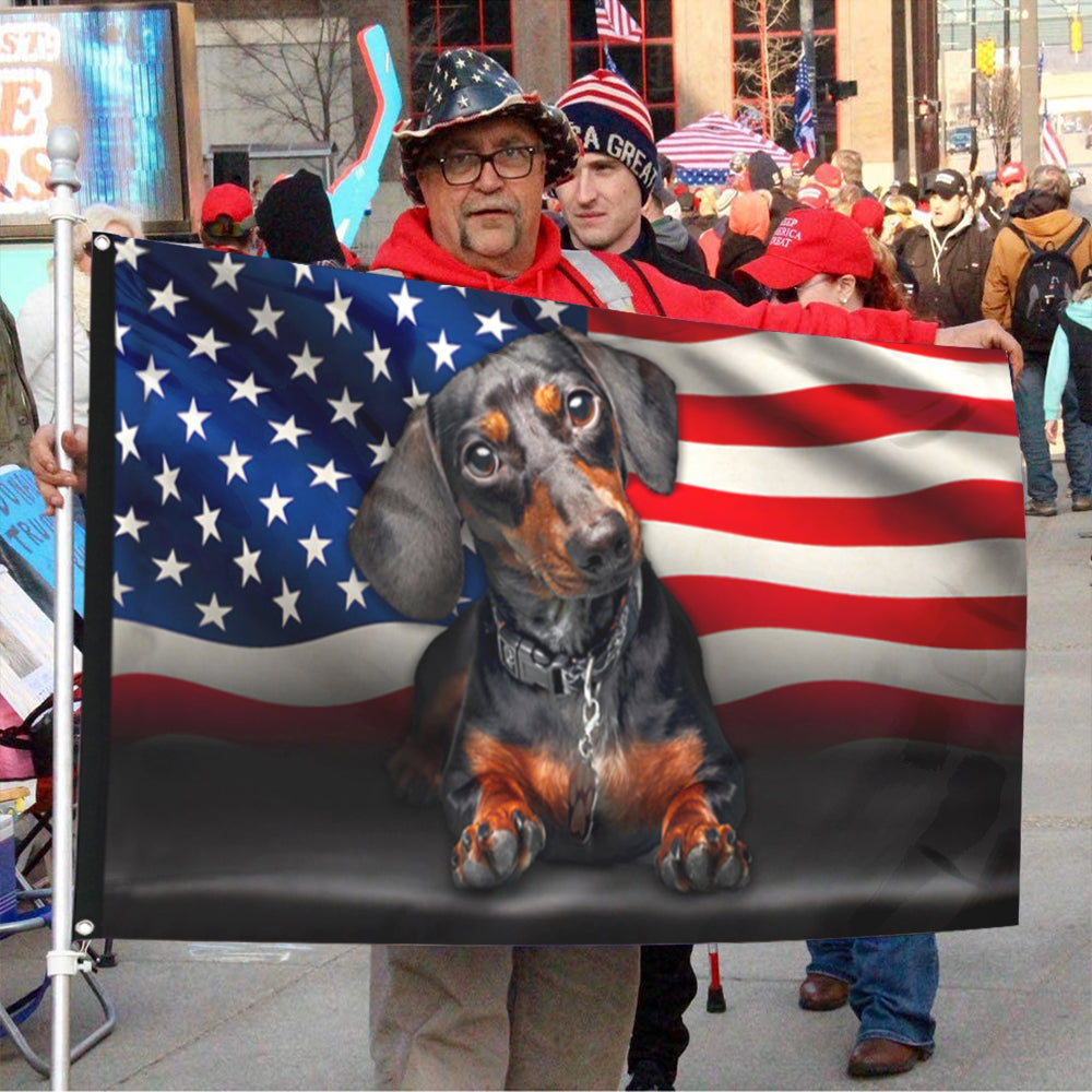 Fyon Dachshund Dog American Flag 41409 Indoor and outdoor banner