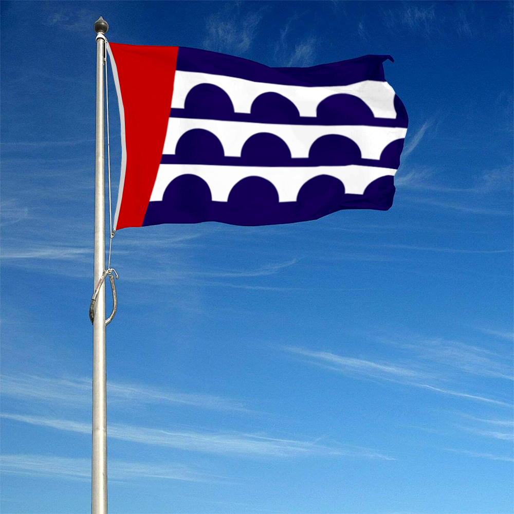 Fyon Des Moines, Iowa flag Banner