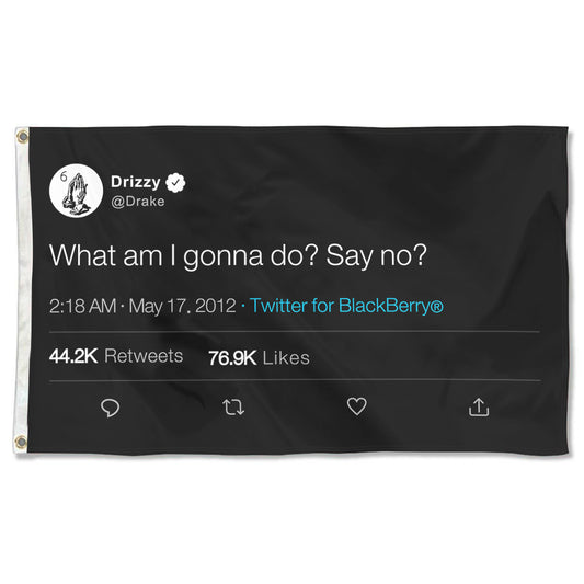 Fyon Drizzy Funny twitter Banner flag What am I gonna do Say No Indoor and outdoor banner