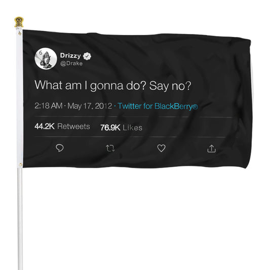 Fyon Drizzy Funny twitter Banner flag What am I gonna do Say No Indoor and outdoor banner