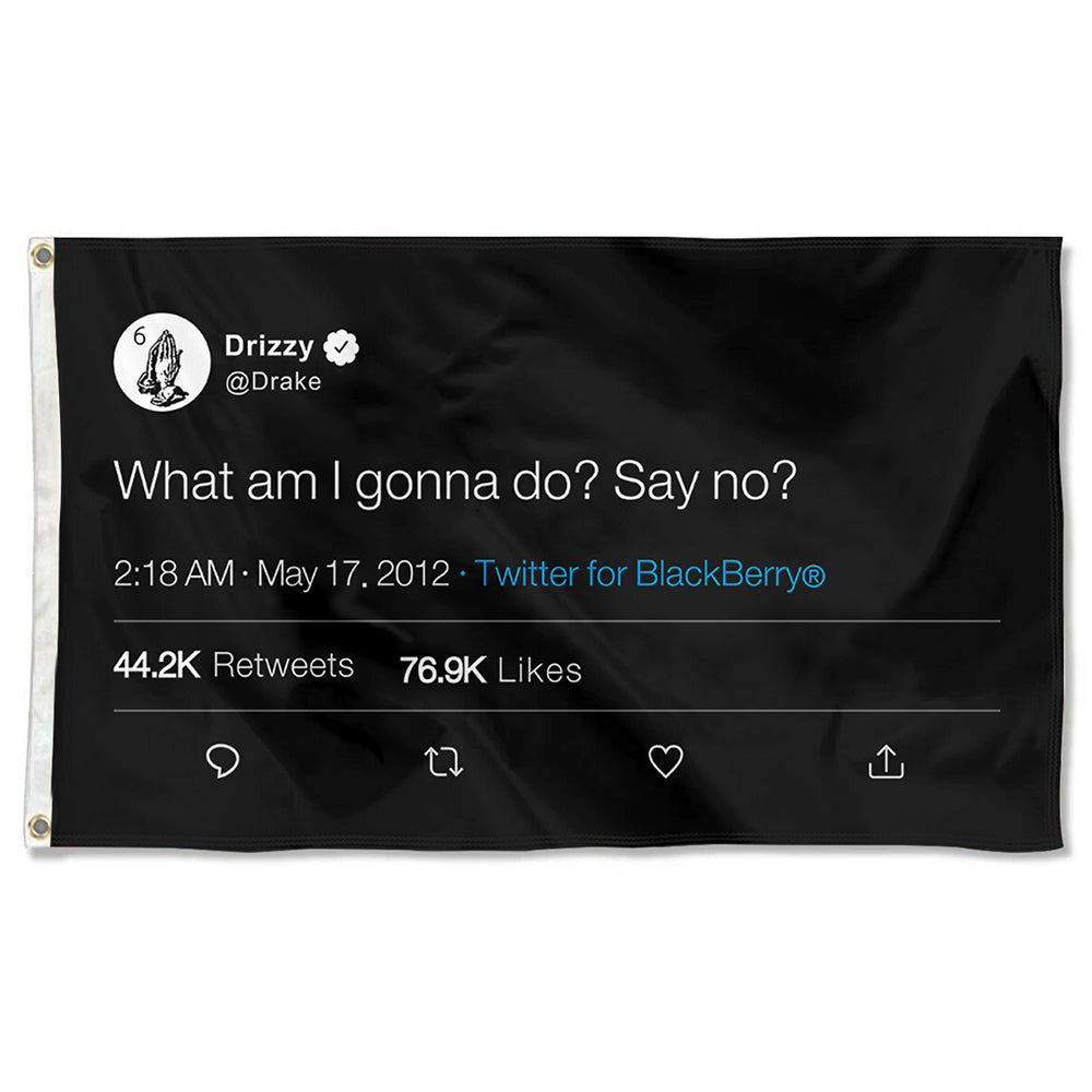 Fyon Drizzy Funny twitter Flag Banner What am I gonna do Say No Flag Indoor and Outdoor Banner