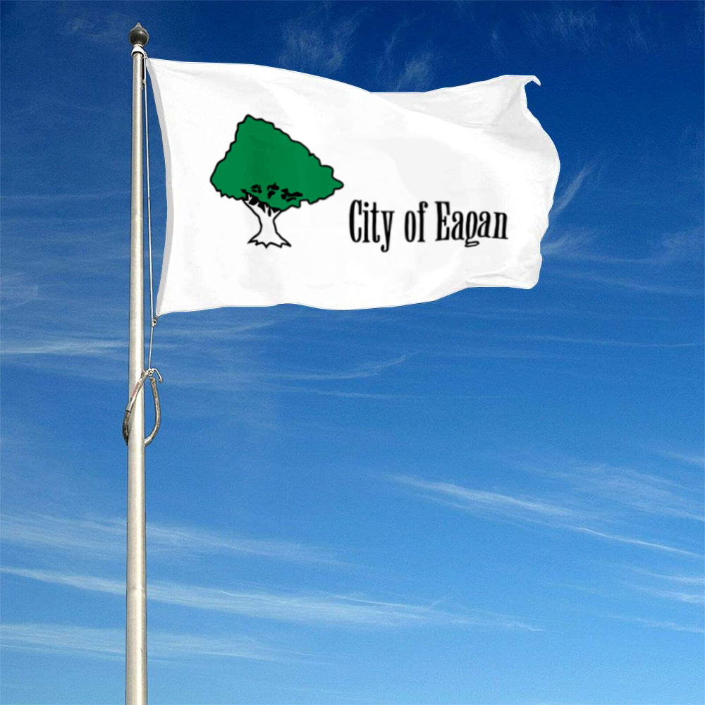 Fyon Eagan, Minnesota flag Banner