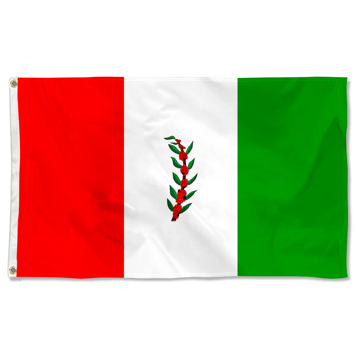 Fyon El Paraiso Department, Honduras flag Indoor and outdoor banner