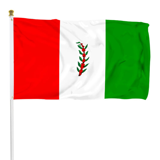 Fyon El Paraiso Department, Honduras flag Indoor and outdoor banner