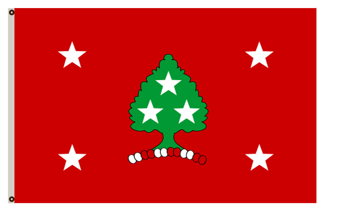 The State of Tennessee Flag Governor banner