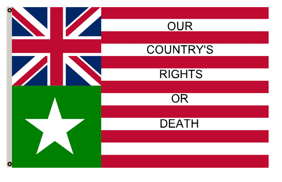 Revolutionary flag Inspired by Gail Borden Jr., this flag was claimed to have been flown at the Battle of San Jacinto banner