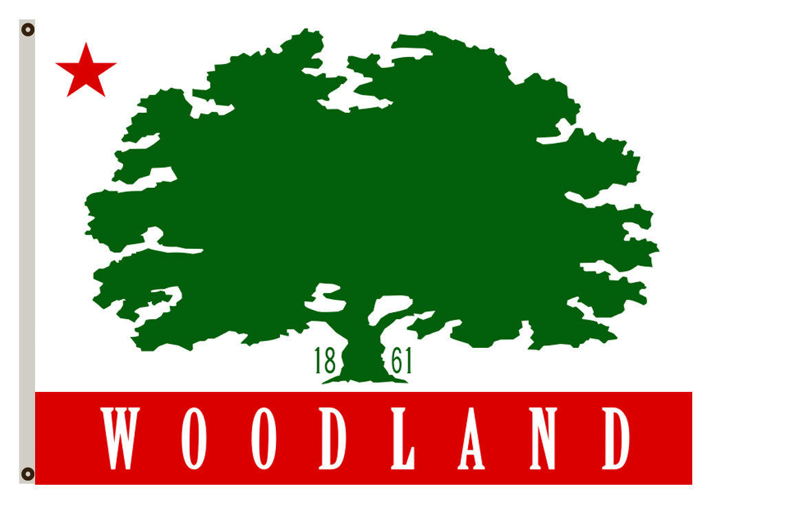 Fyon California banner City of Woodland Flag