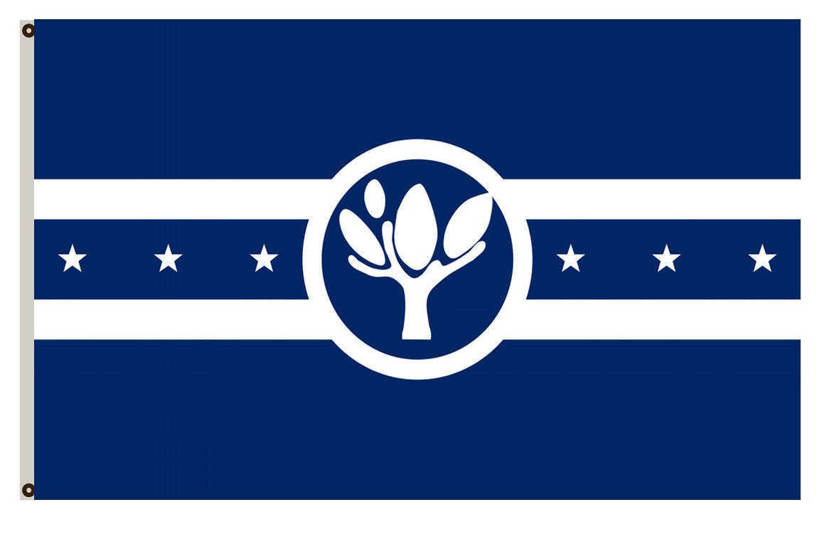 Fyon Illinois banner City of Naperville Flag