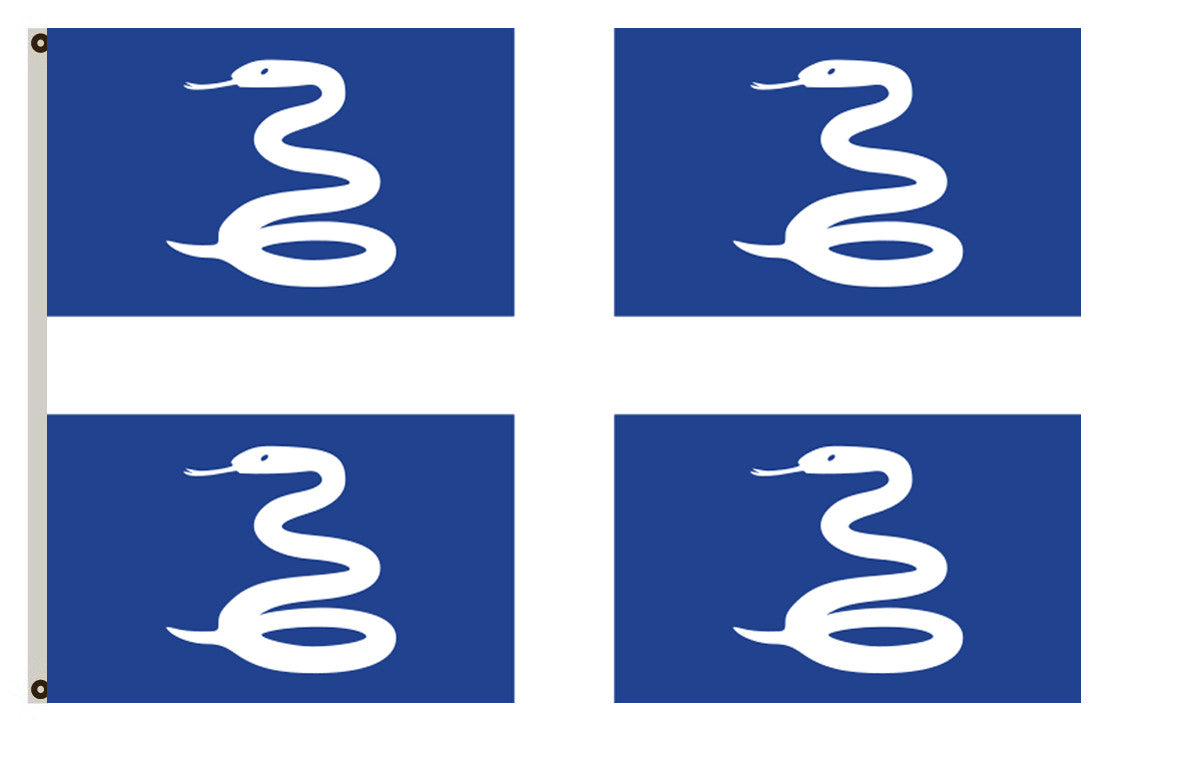 Fyon France banner Martinique flag