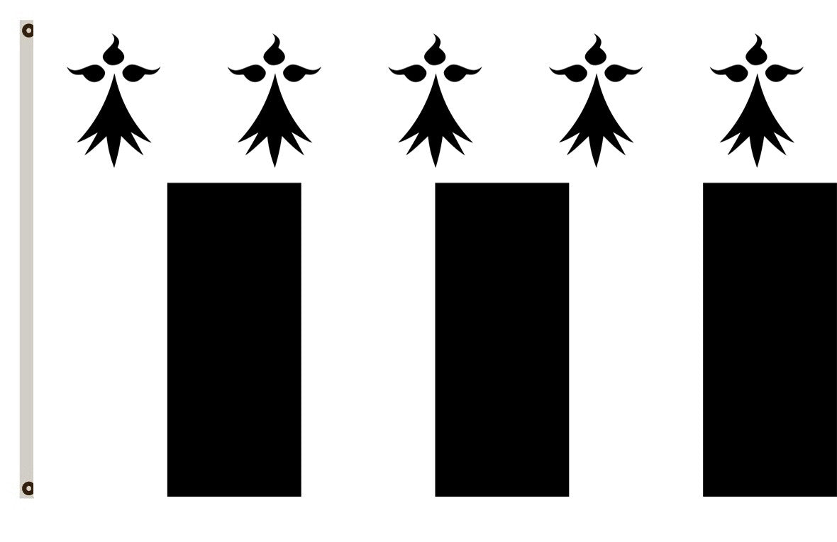 Fyon Europe banner France flag