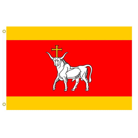 Fyon LTU Kaunas Flag Kowna Indoor and outdoor banner