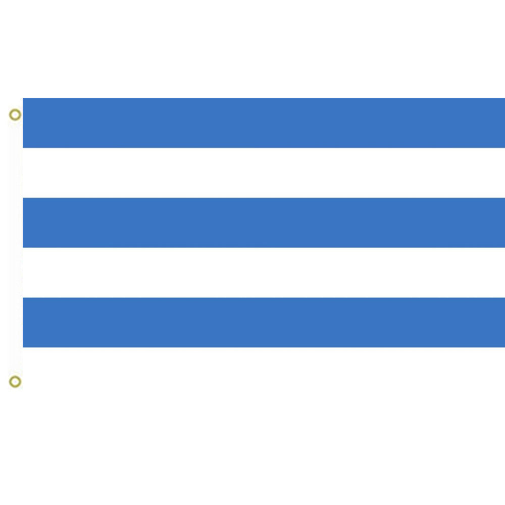 Fyon Tallinn, Estonia Flag blue PMS 285 Indoor and outdoor banner