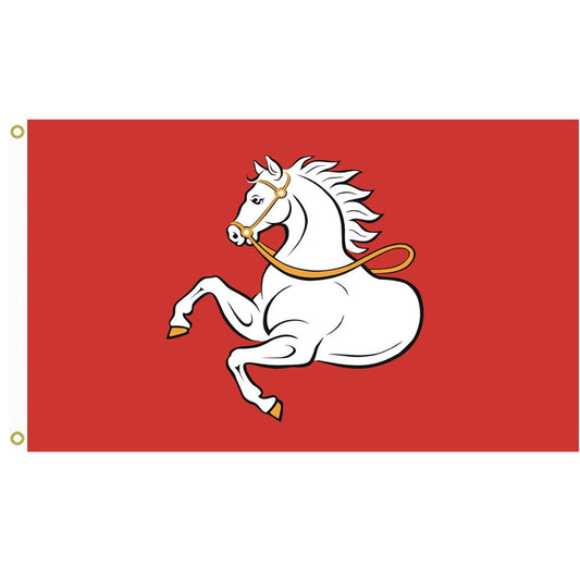 Fyon Municipal of Pardubice city, Czech Republic flag Indoor and outdoor banner