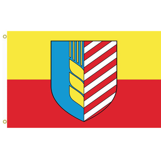 Fyon Soligorsk, Belarus Flag Indoor and outdoor banner