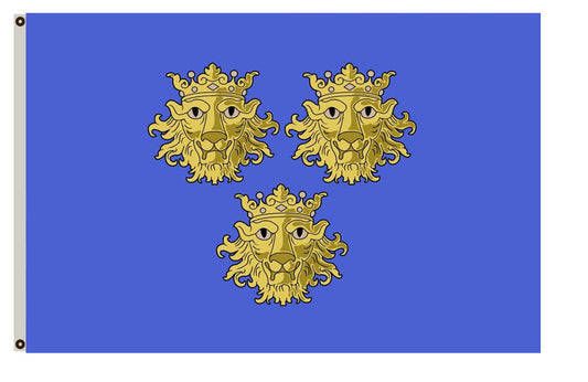 Fyon Dalmatia used by Italian irredentists Flag Indoor and outdoor banner