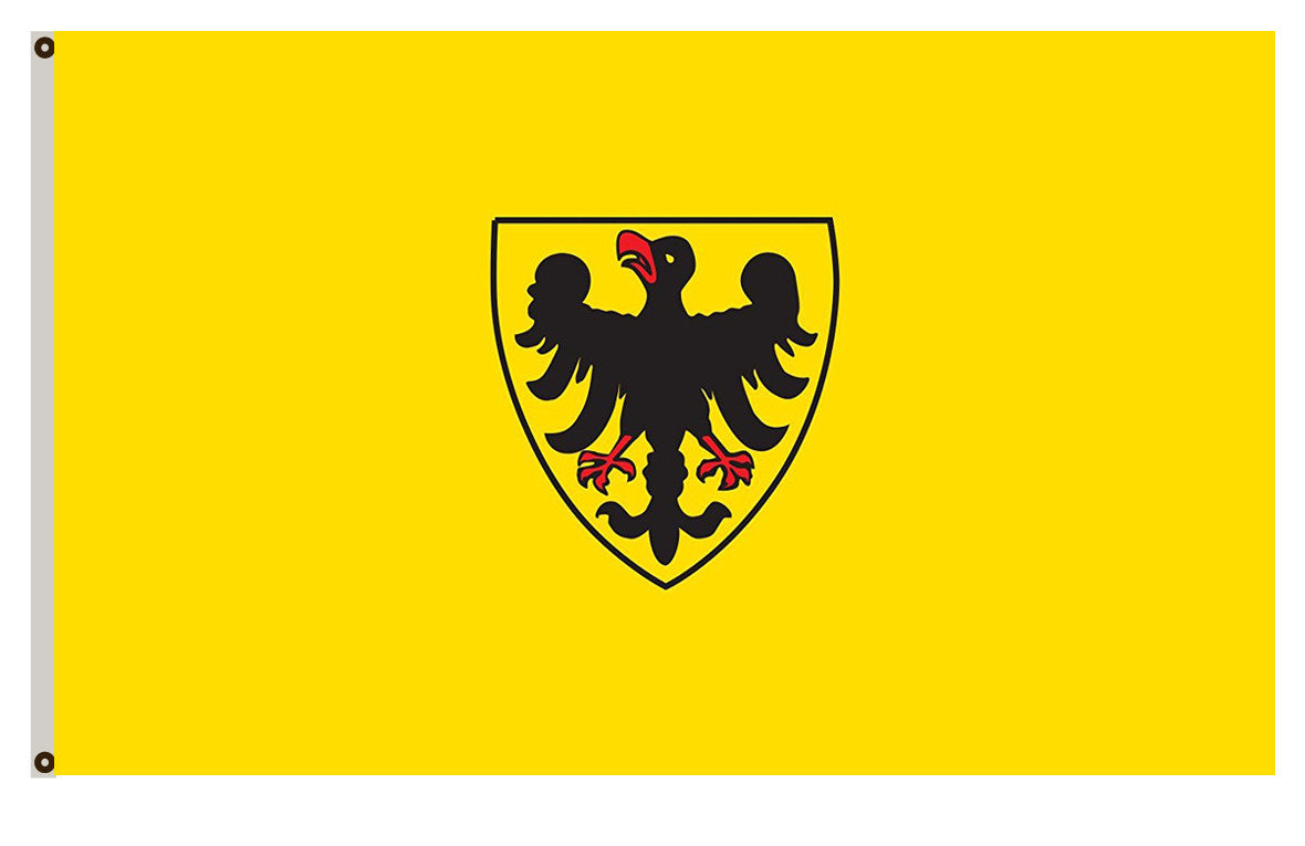 Sinsheim (Nördliches Baden-Württemberg) portrait flag Indoor and outdoor banner