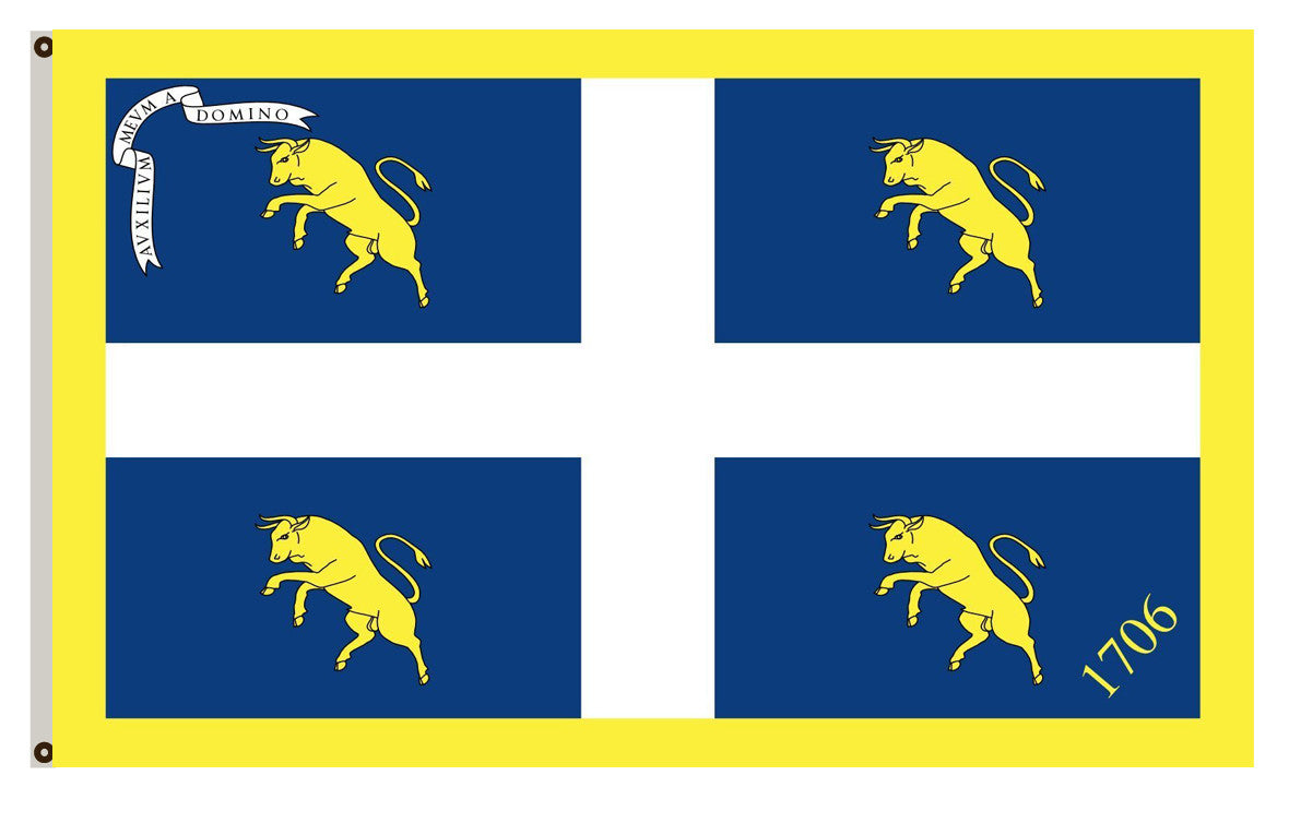 Official flag of city of Turin Flag Indoor and outdoor banner