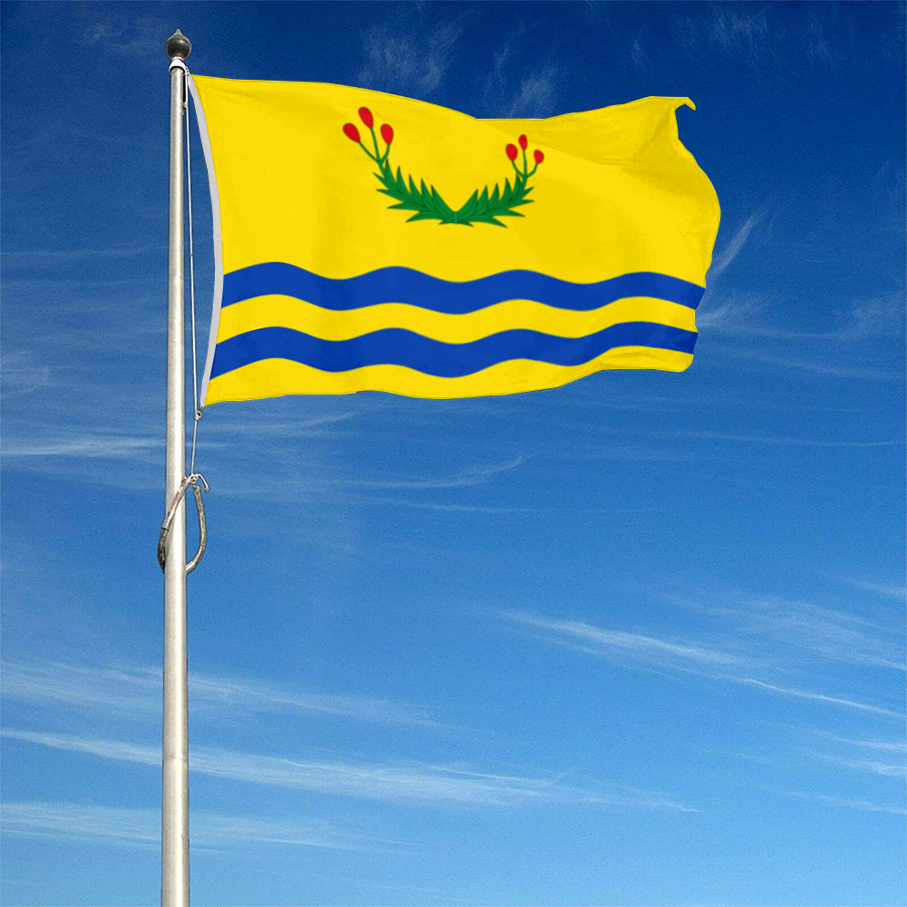 Fyon File Bandera de Juncos, Puerto Rico flag Banner