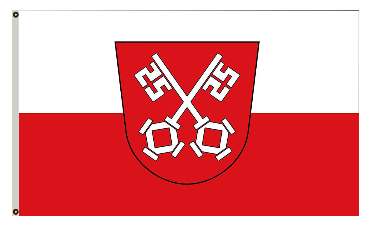 Fyon City of Regensburg flag banner