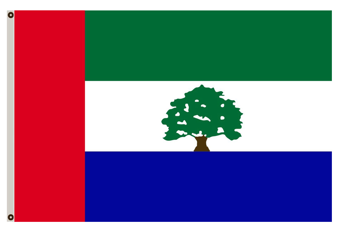 Fyon cflag banner