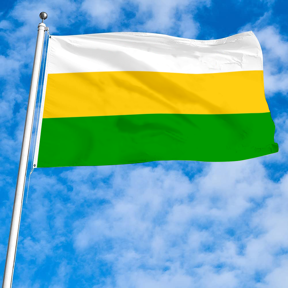 Fyon Guayanilla, Puerto Rico flag banner