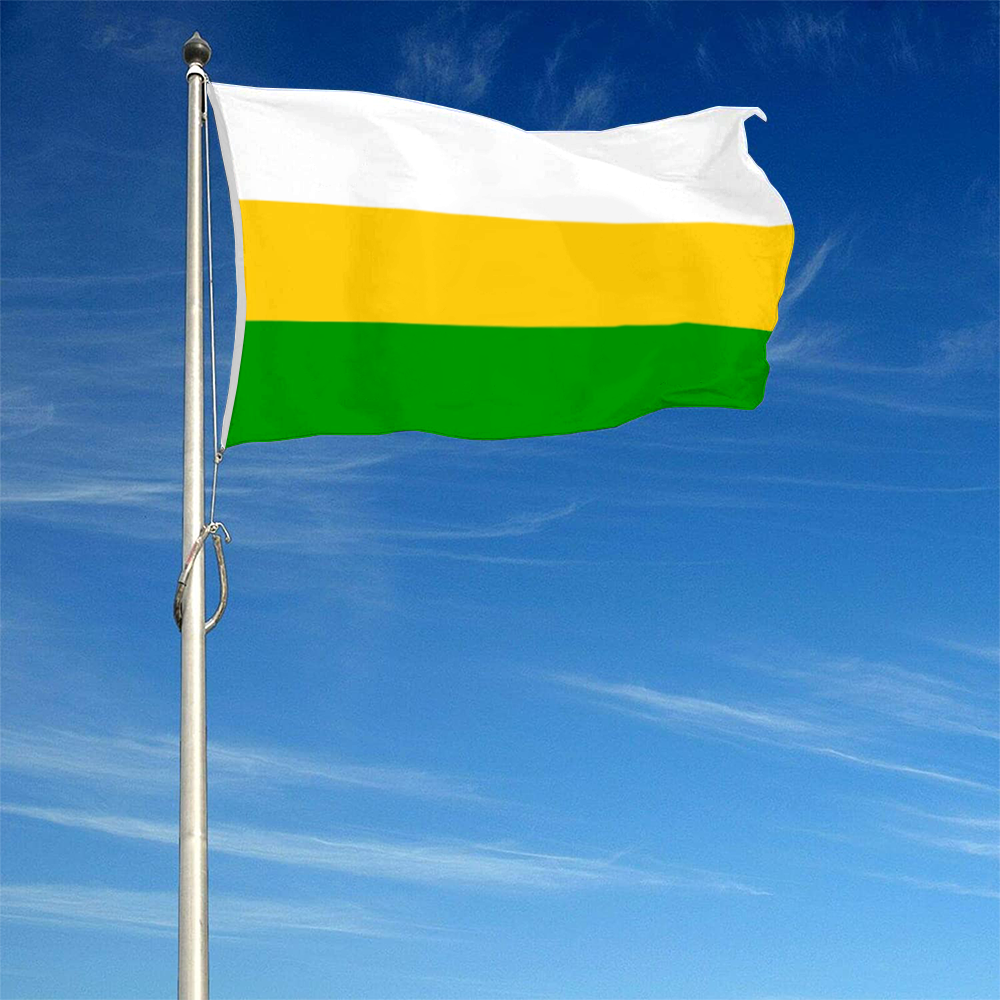 Fyon Guayanilla, Puerto Rico flag banner