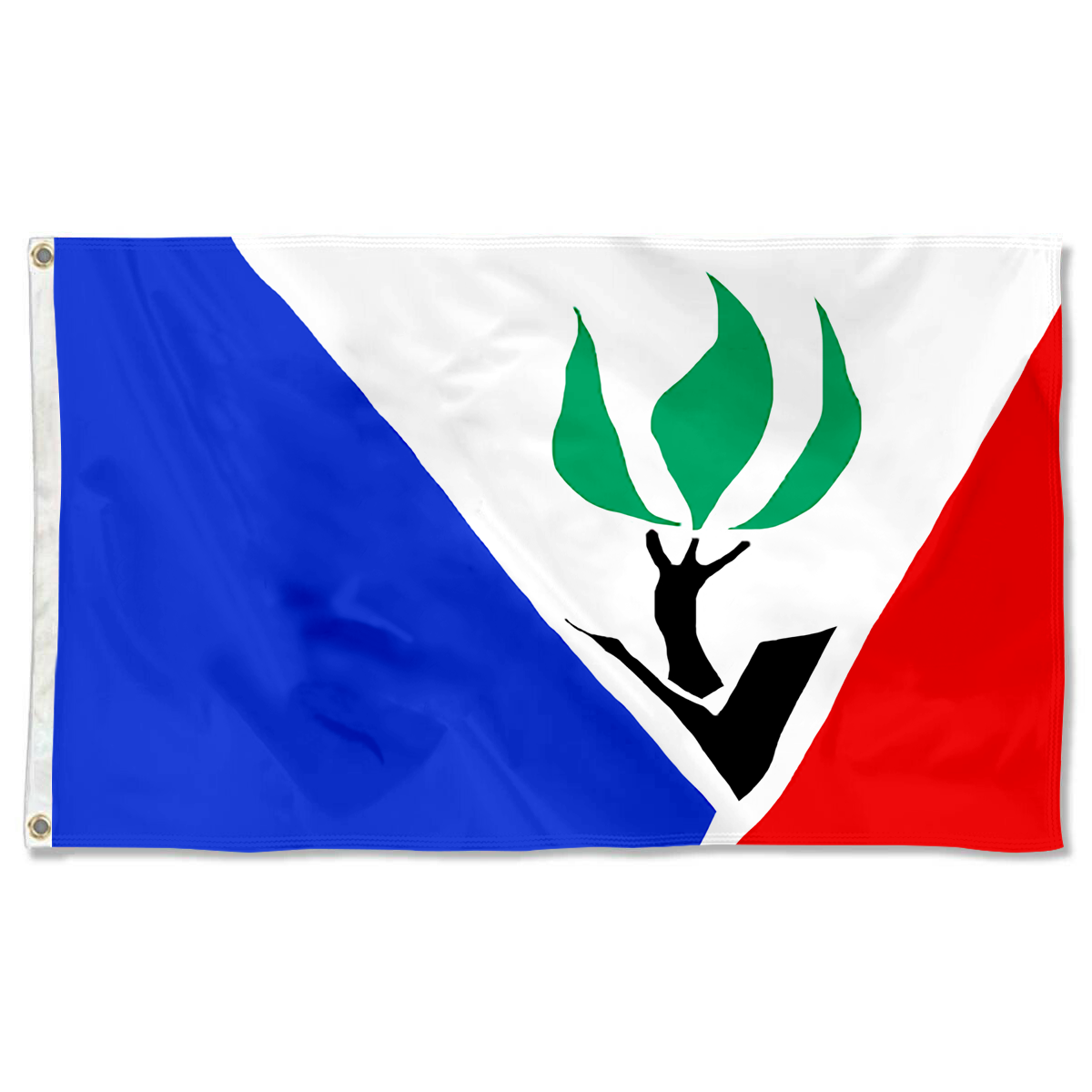 Fyon Hazelwood, Missouri flag Banner