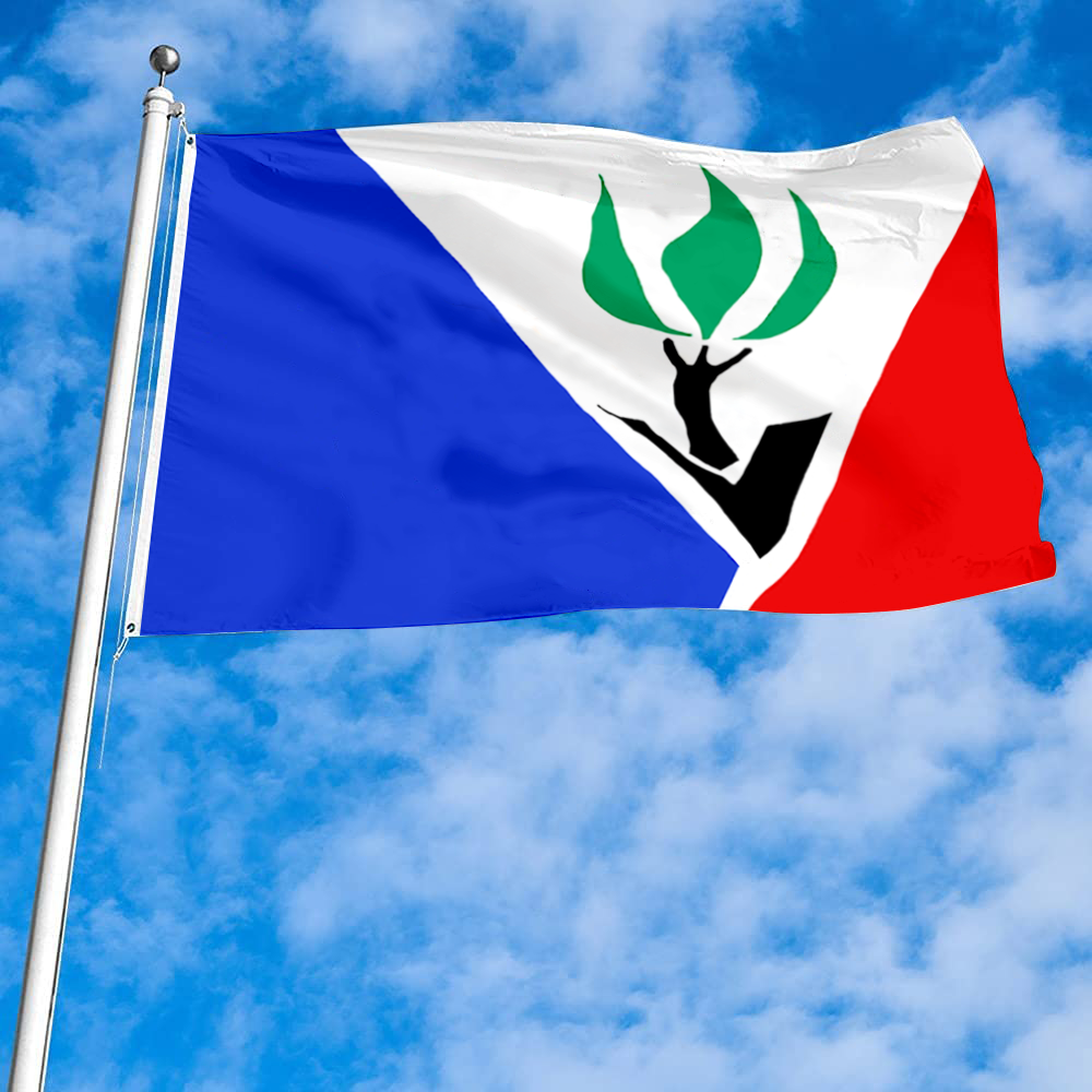 Fyon Hazelwood, Missouri flag Banner