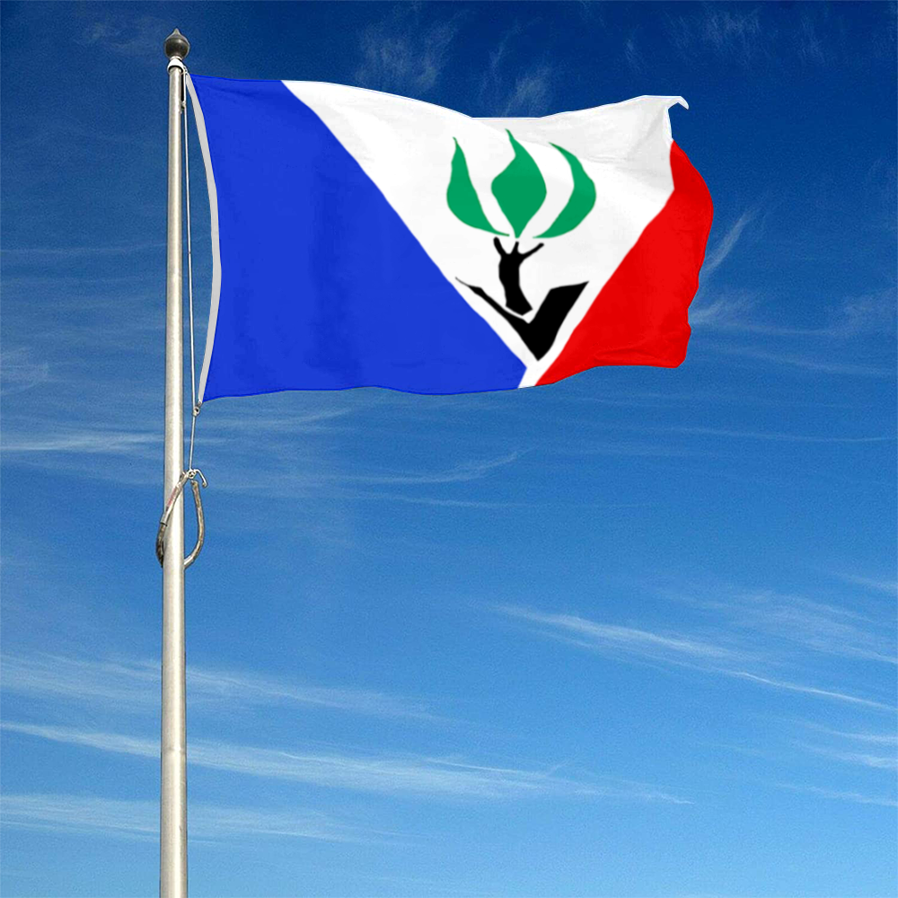 Fyon Hazelwood, Missouri flag Banner