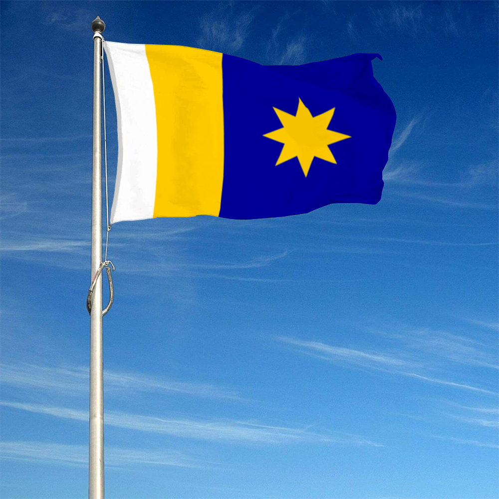 Fyon Hutchinson, Kansas flag Banner