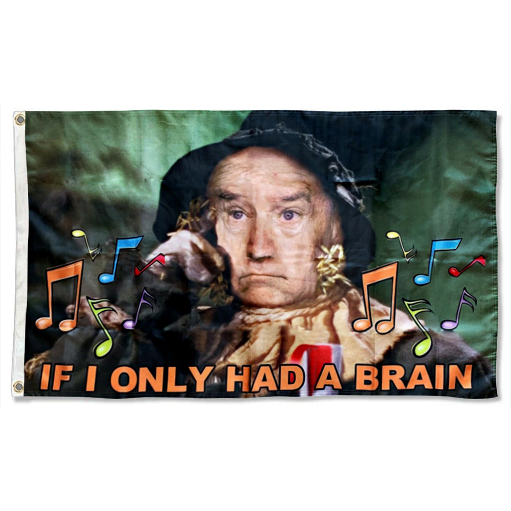 Fyon If I only Had a Brain Flag Indoor and Outdoor Banner